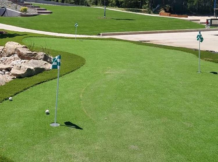 putting green roll