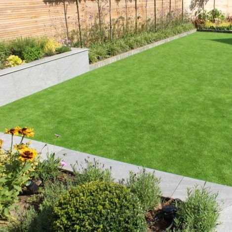 gardengrass2