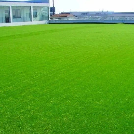 best plastic grass