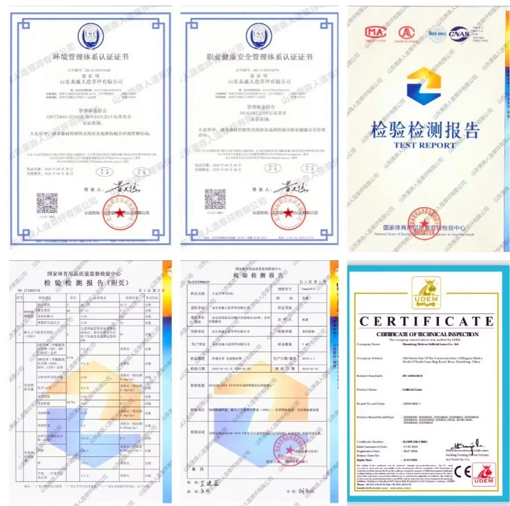 certificate certificate